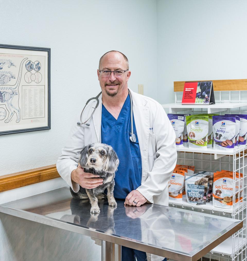 Veterinary Services For Dogs Coolidge Veterinary Hospital
