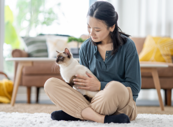 10 Common Household Items That Are Toxic to Pets