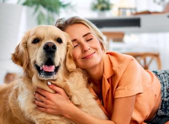 What to Do When Your Pet Swallows Something Unusual: Advice from Coolidge Veterinary Hospital