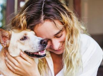 Seasonal Cleaning and Pet Wellness: Smart Strategies for a Safer Spring Home