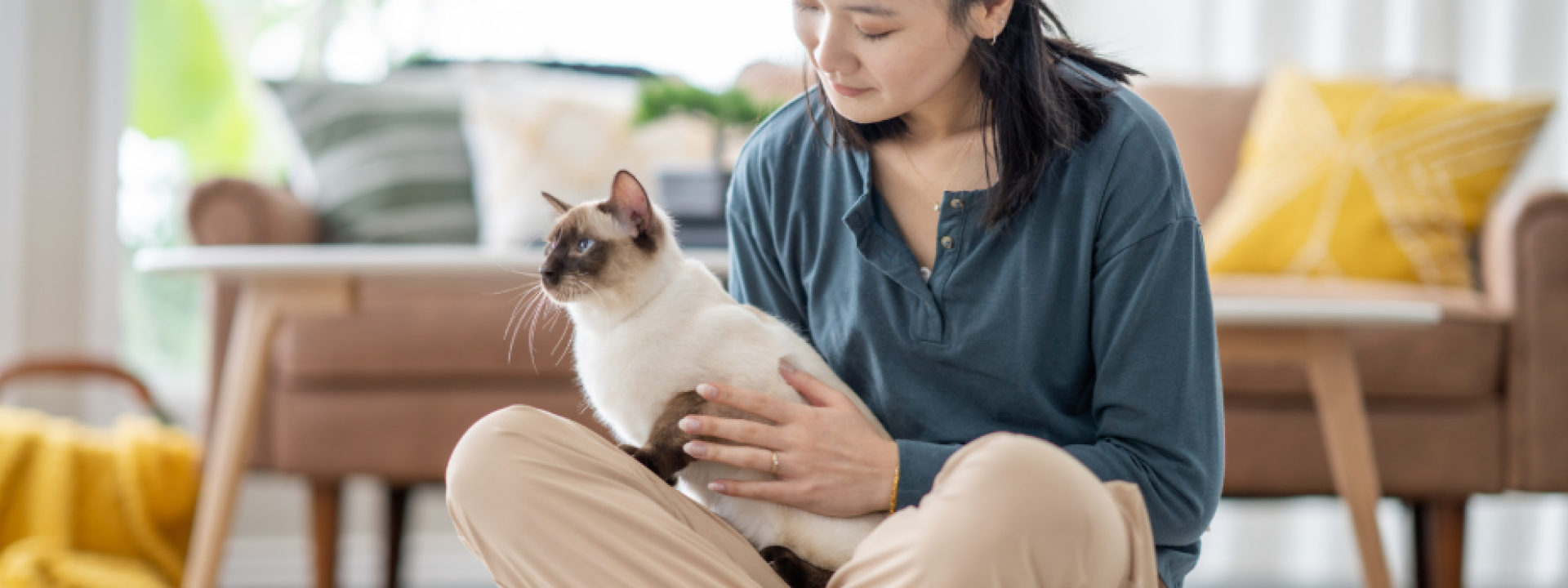 Cat with Owner 