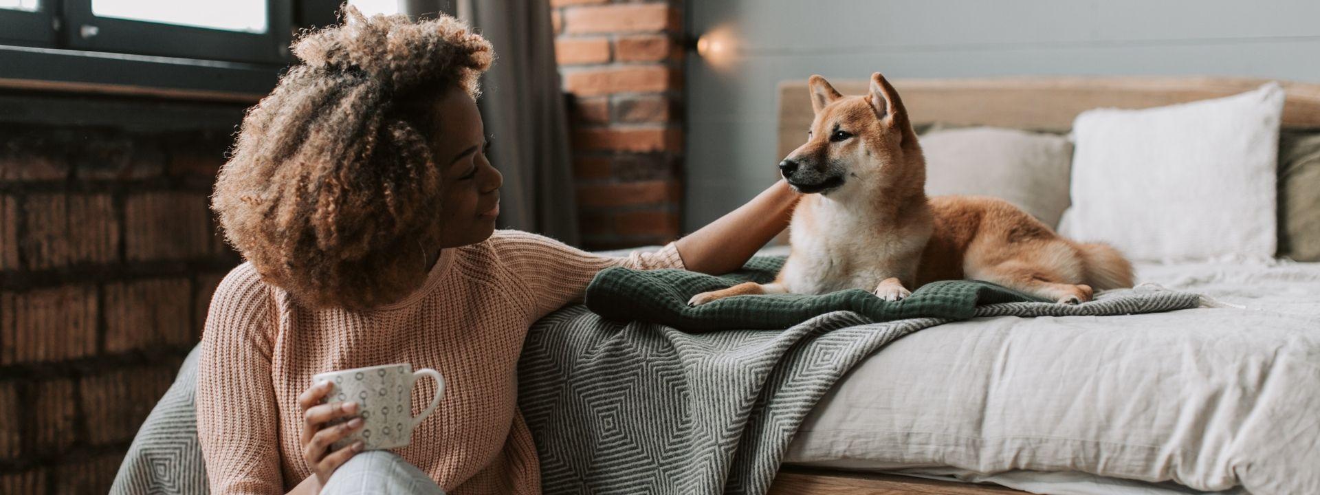 Dog at home 
