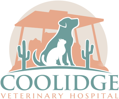 Coolidge Veterinary Hospital